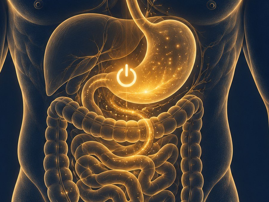Visceral fat around the midsection
