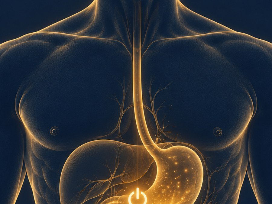 Energy and metabolism through the upper body